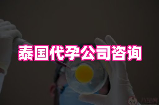 长沙助孕网 1