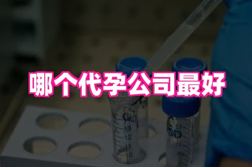 长沙助孕网 2